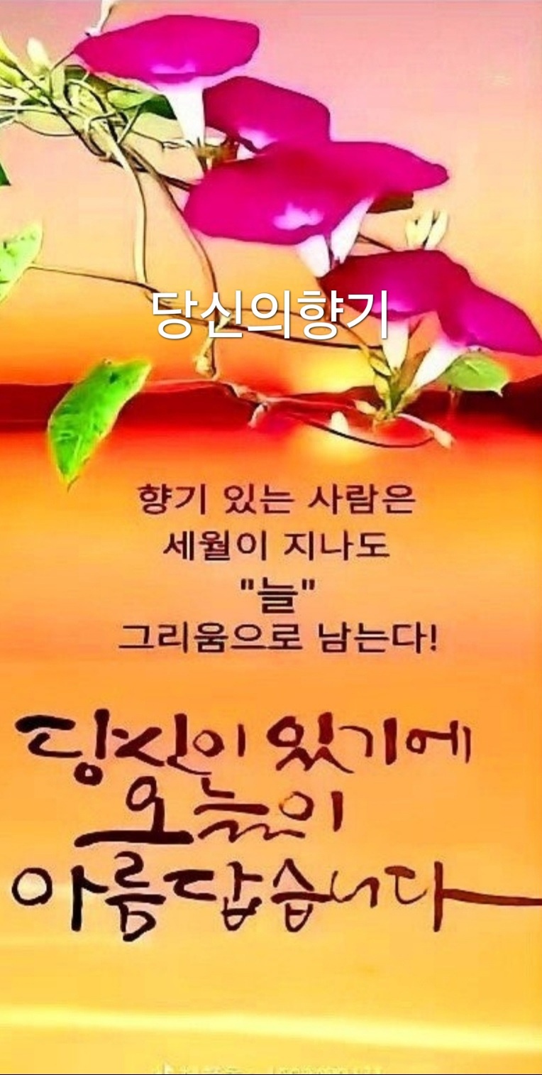 느낌표 이미지