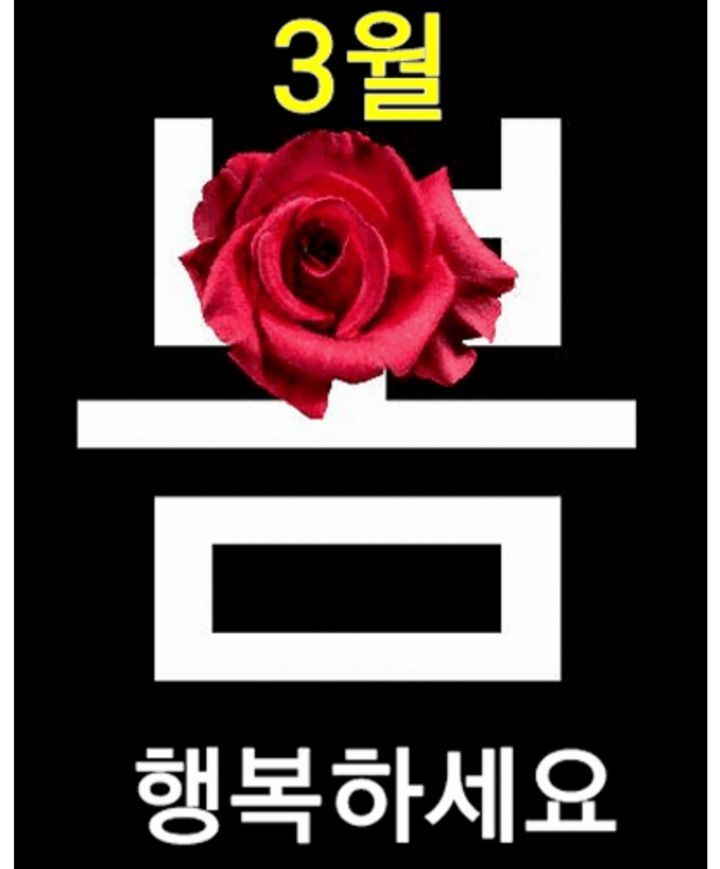 화요일 아침 / 3월 맞이! 아홉가지 축복나무 배달왔어요 - 🔶️공유 글... 한울타리💜 화요일 아침 / 3월 맞이! 아홉가지 축복나무 배달왔어요