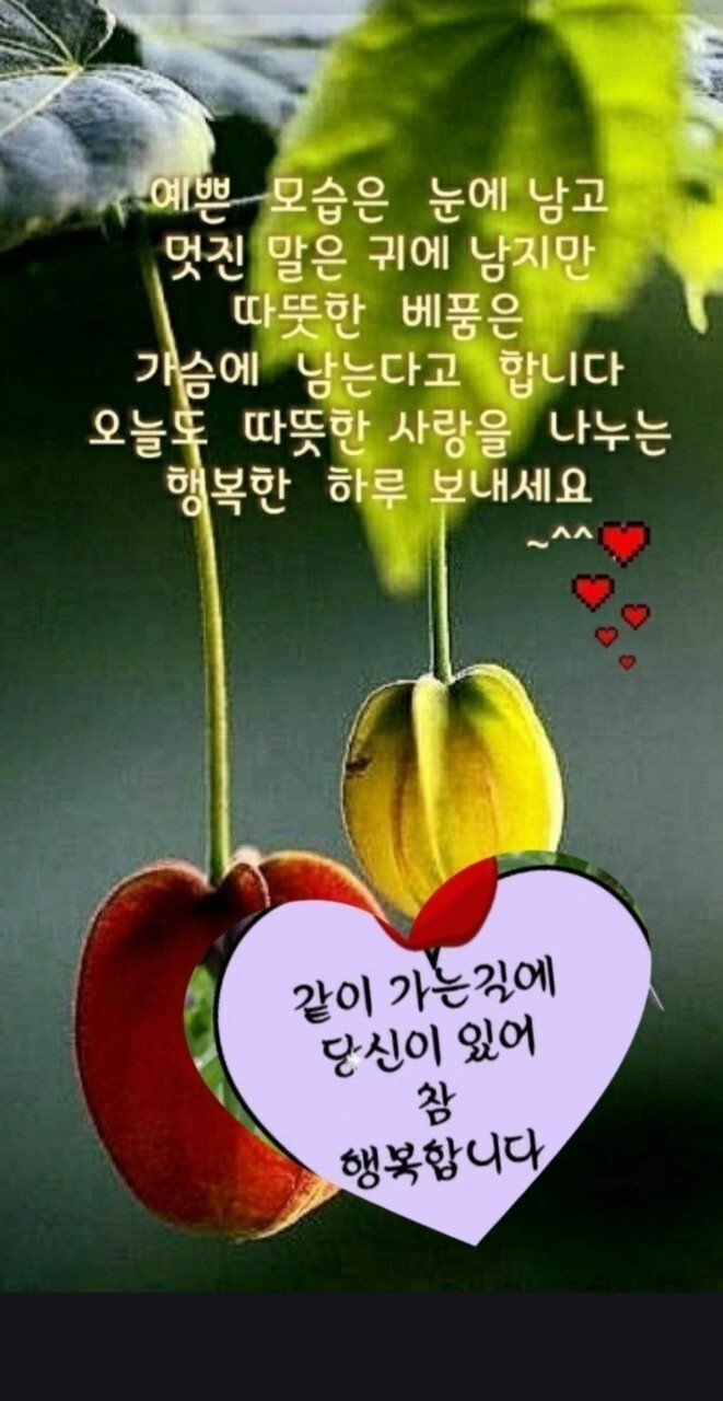 오래도록 이미지