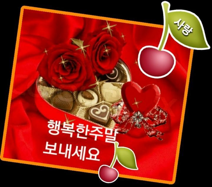 서광세탁 이미지