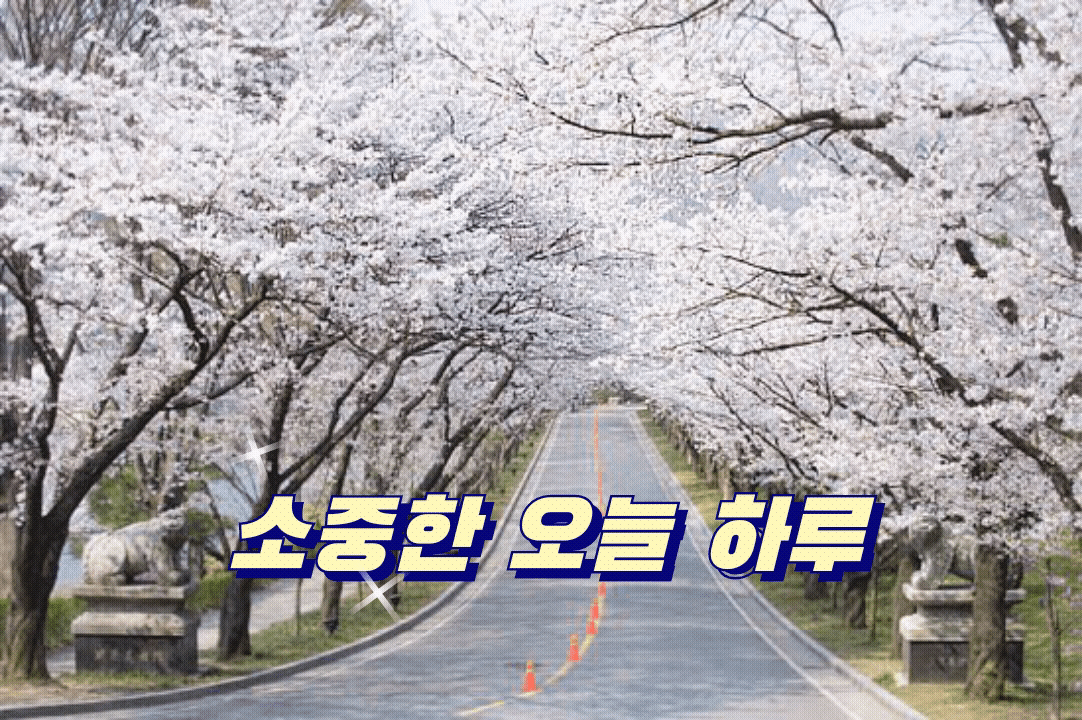 소중한 오늘 하루 - 🔶️공유 글🔰나눔 - 💜산야와 한울타리💜 소중한 오늘 하루