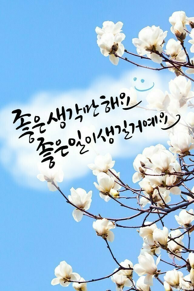 행복한아침 이미지