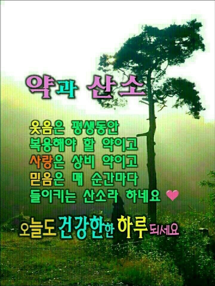 곱다 이미지