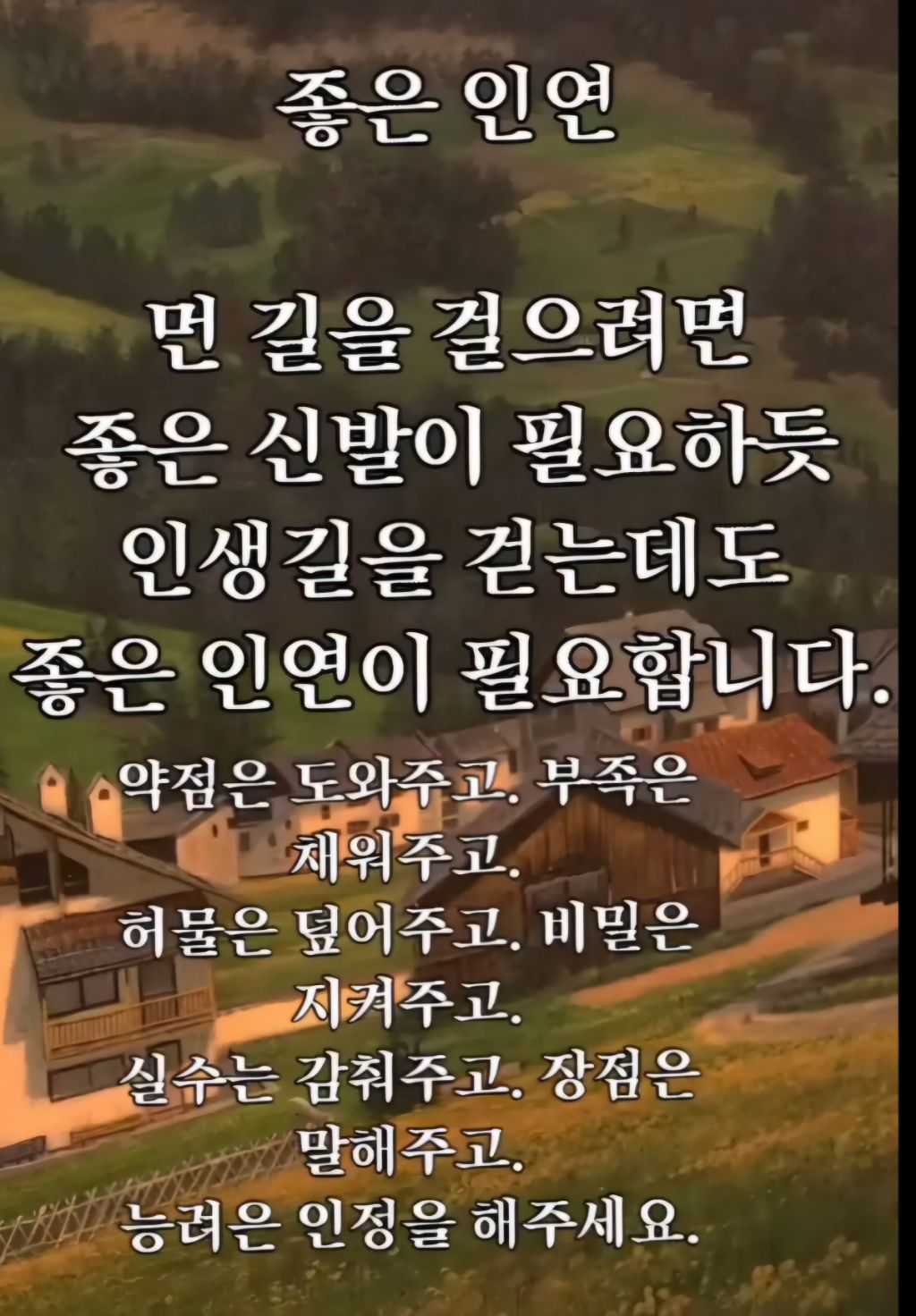 Daum 카페