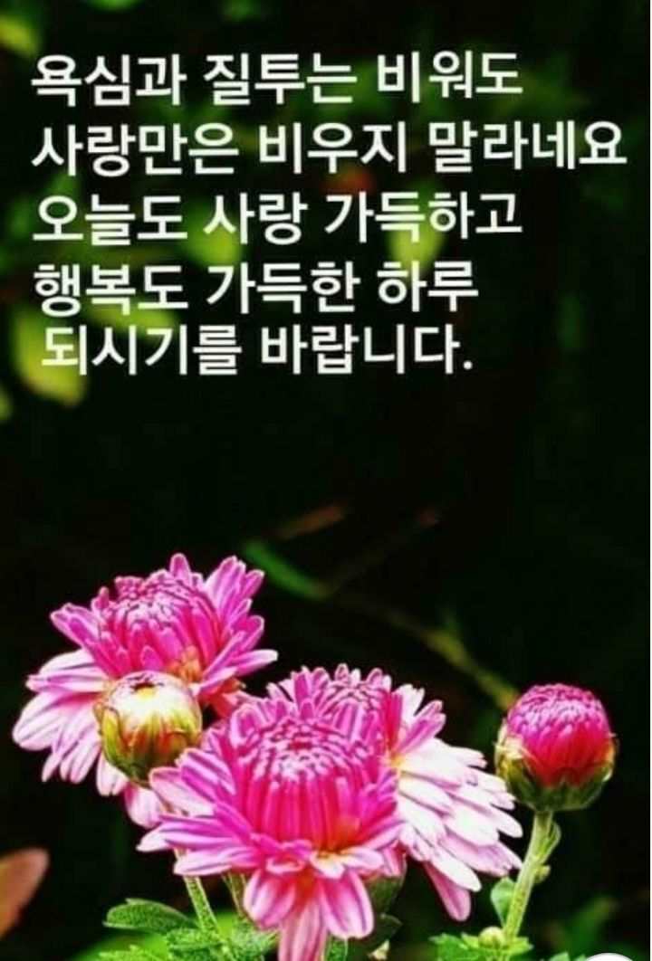좋은 인연이란... - 🔶️영상 글🎥나눔 - 💜산야와 한울타리💜 좋은 인연이란...