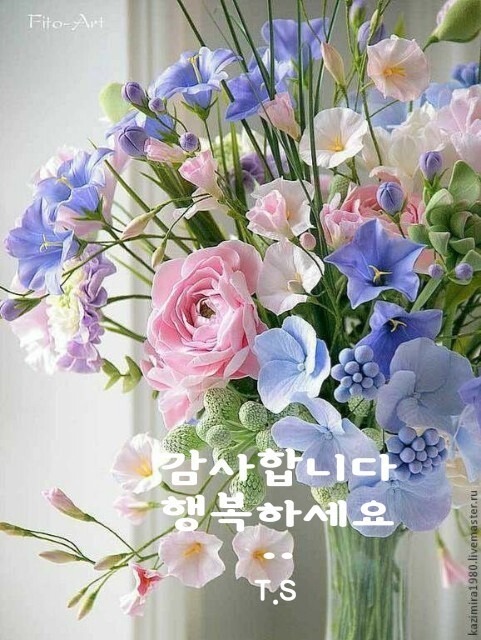 사랑으로 이미지