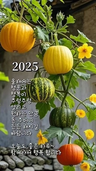 행운 이미지