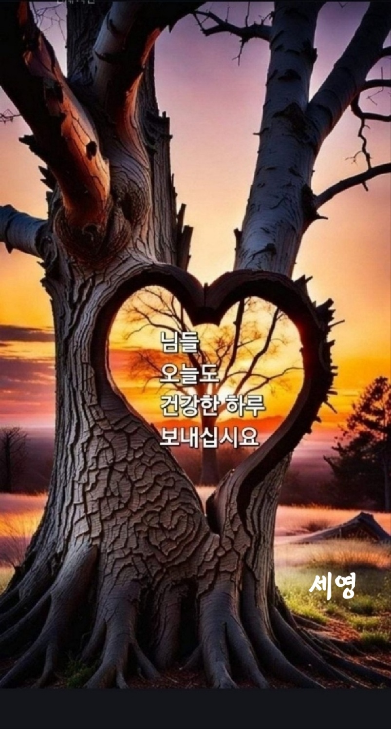 다복 이미지