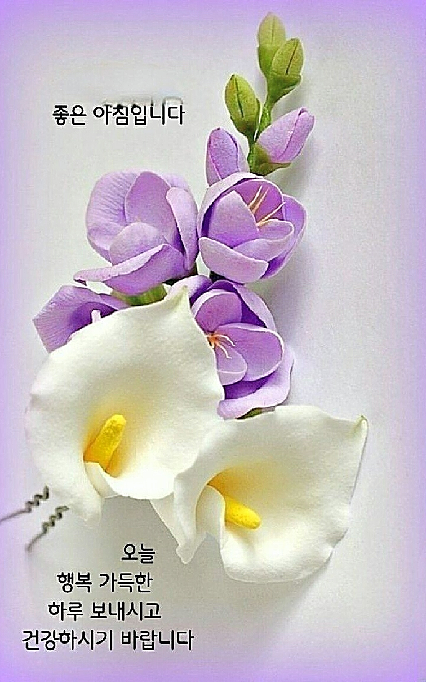 아침 인사말 / 9가지 좋은 글 이미지 - 📷예쁜글움짤이미지(gif) - 💜산야와 한울타리💜