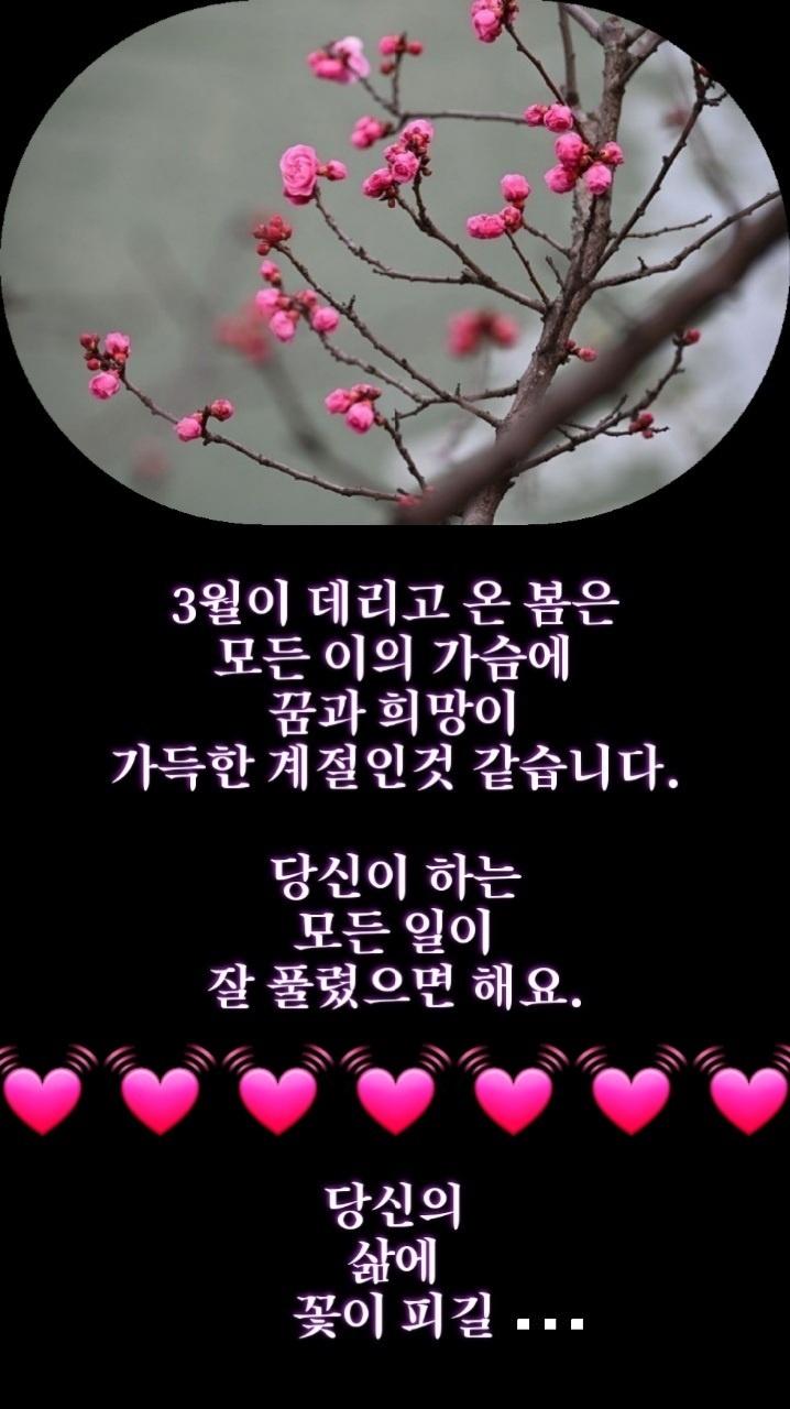 법정스님이 말하는 중년의 삶 - 🔶️공유 글🔰나눔 - 💜산야와 한울타리💜 법정스님이 말하는 중년의 삶
