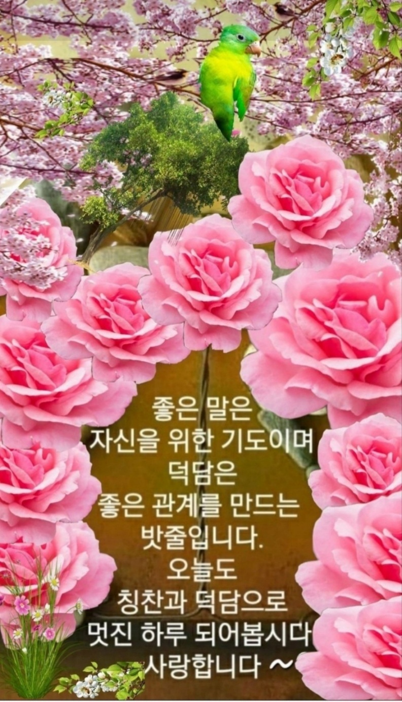 멋진인생 이미지