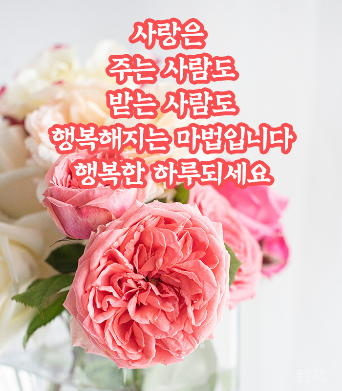 오늘도꽃 이미지