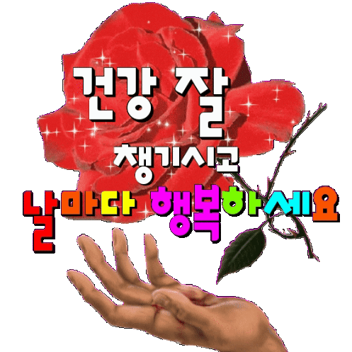 Daum 카페