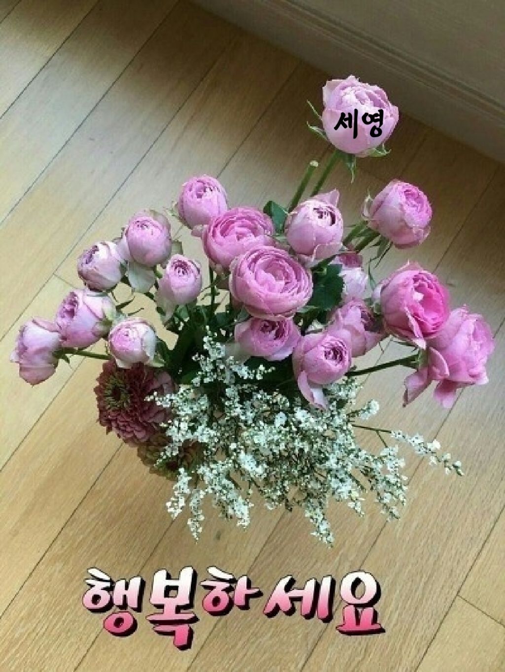 다복 이미지