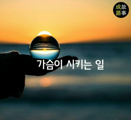 시작 이미지