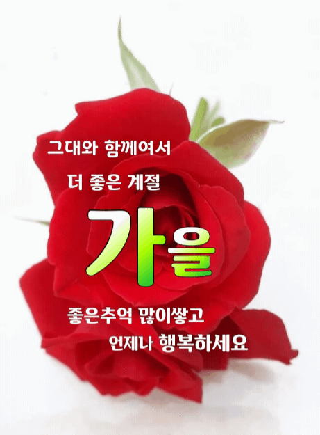 오늘도;빛나 이미지