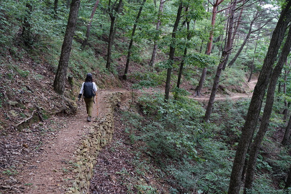 동산다방 이미지
