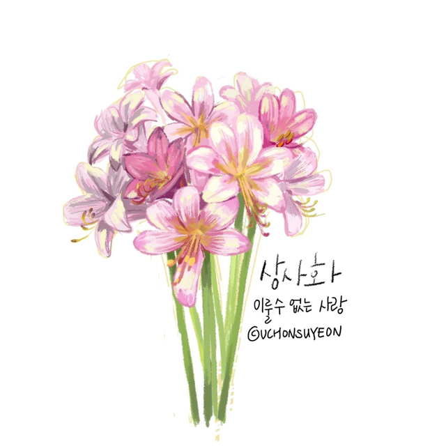 수목원수선 이미지