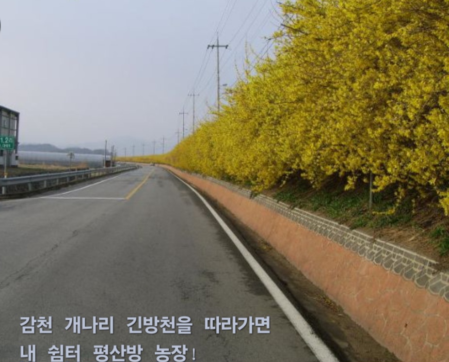 평산방 이미지