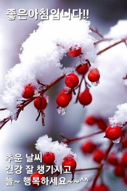 대성당구장 이미지