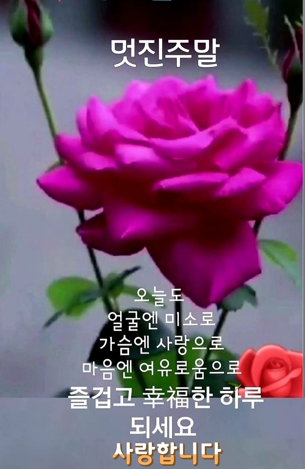 진관근린공원 이미지