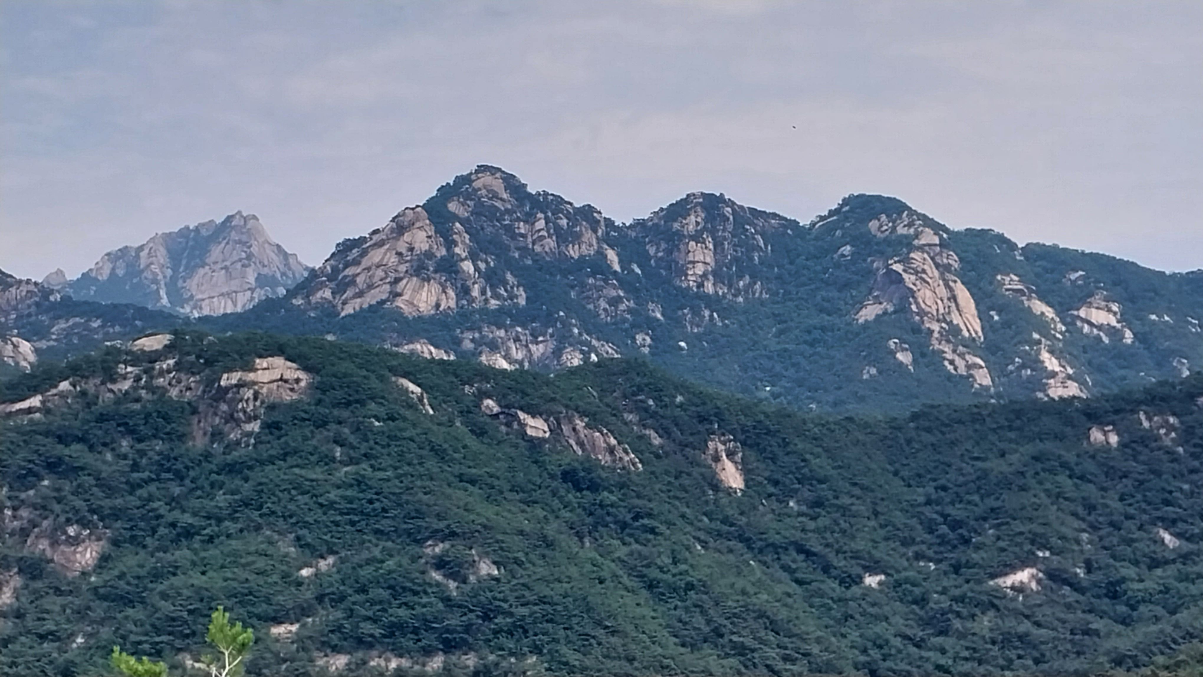 진관근린공원 이미지