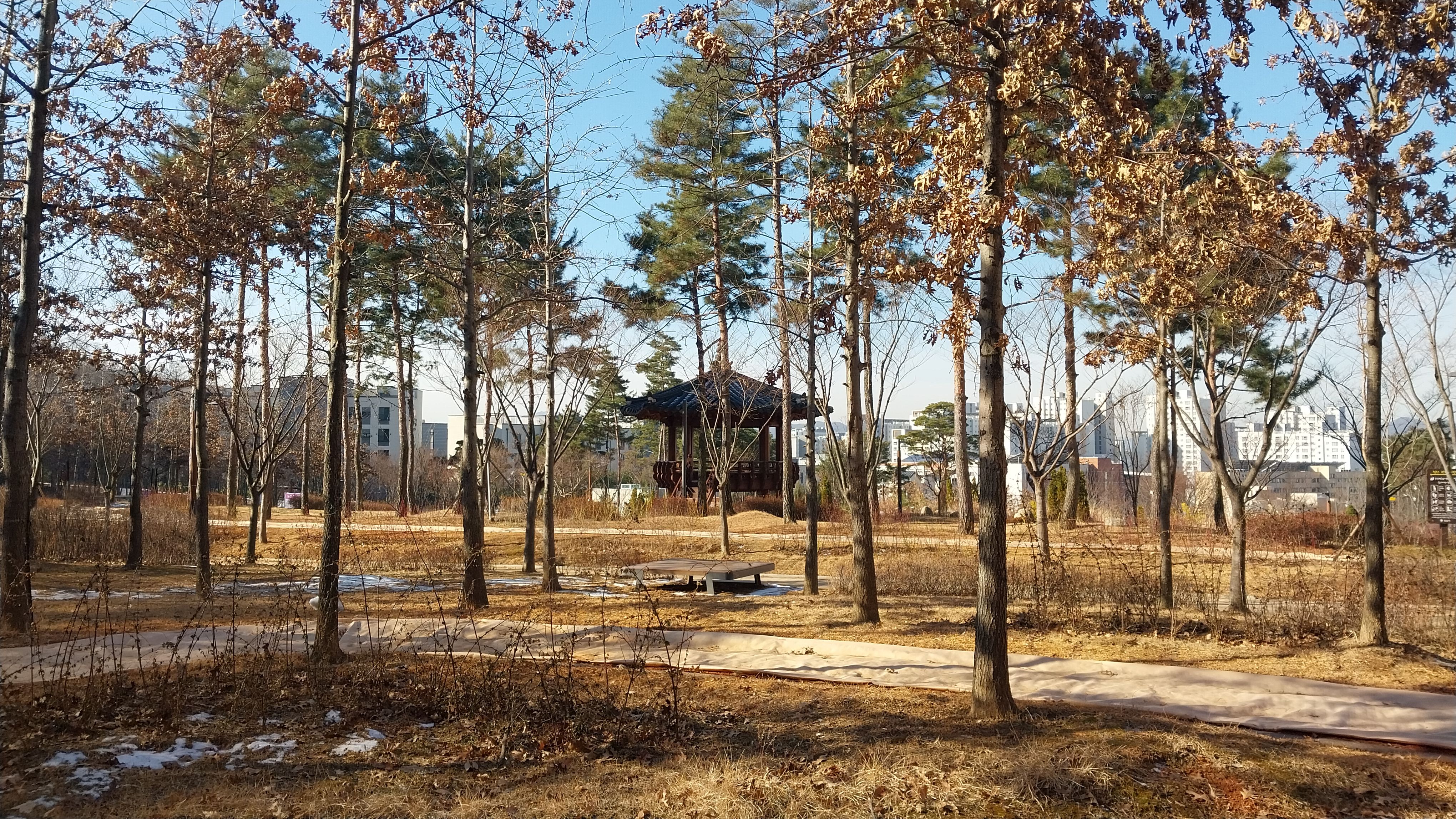 영냄이네포차 이미지