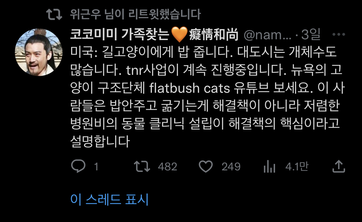 트위터에서 외국 사는데 길고양이 밥 준다는 인용이 쏟아진 이유 | 인스티즈