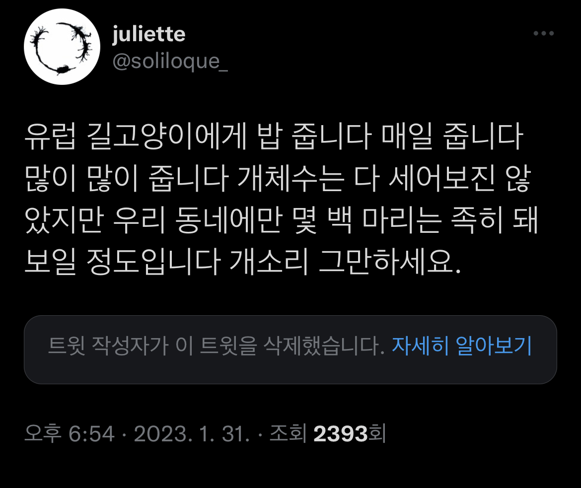 트위터에서 외국 사는데 길고양이 밥 준다는 인용이 쏟아진 이유 | 인스티즈