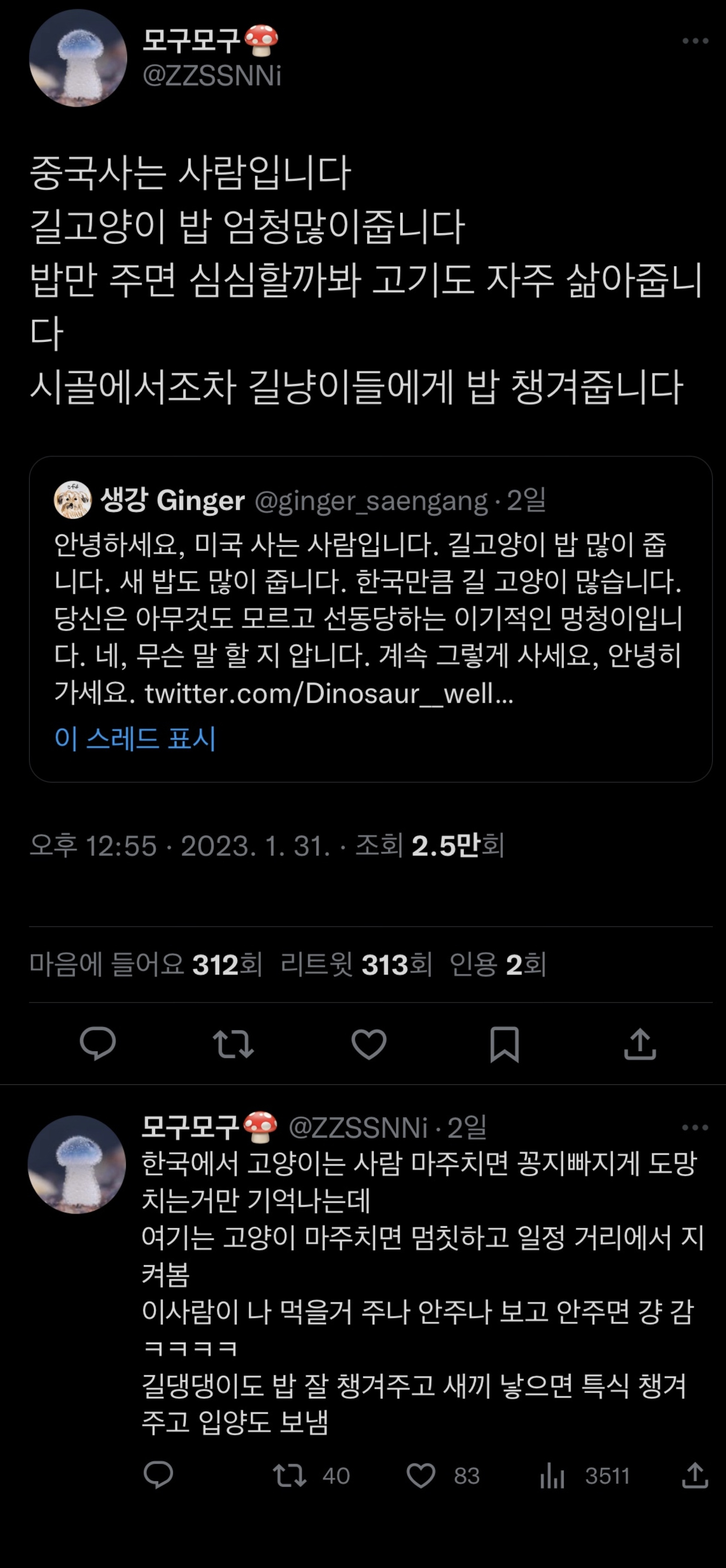 트위터에서 외국 사는데 길고양이 밥 준다는 인용이 쏟아진 이유 | 인스티즈