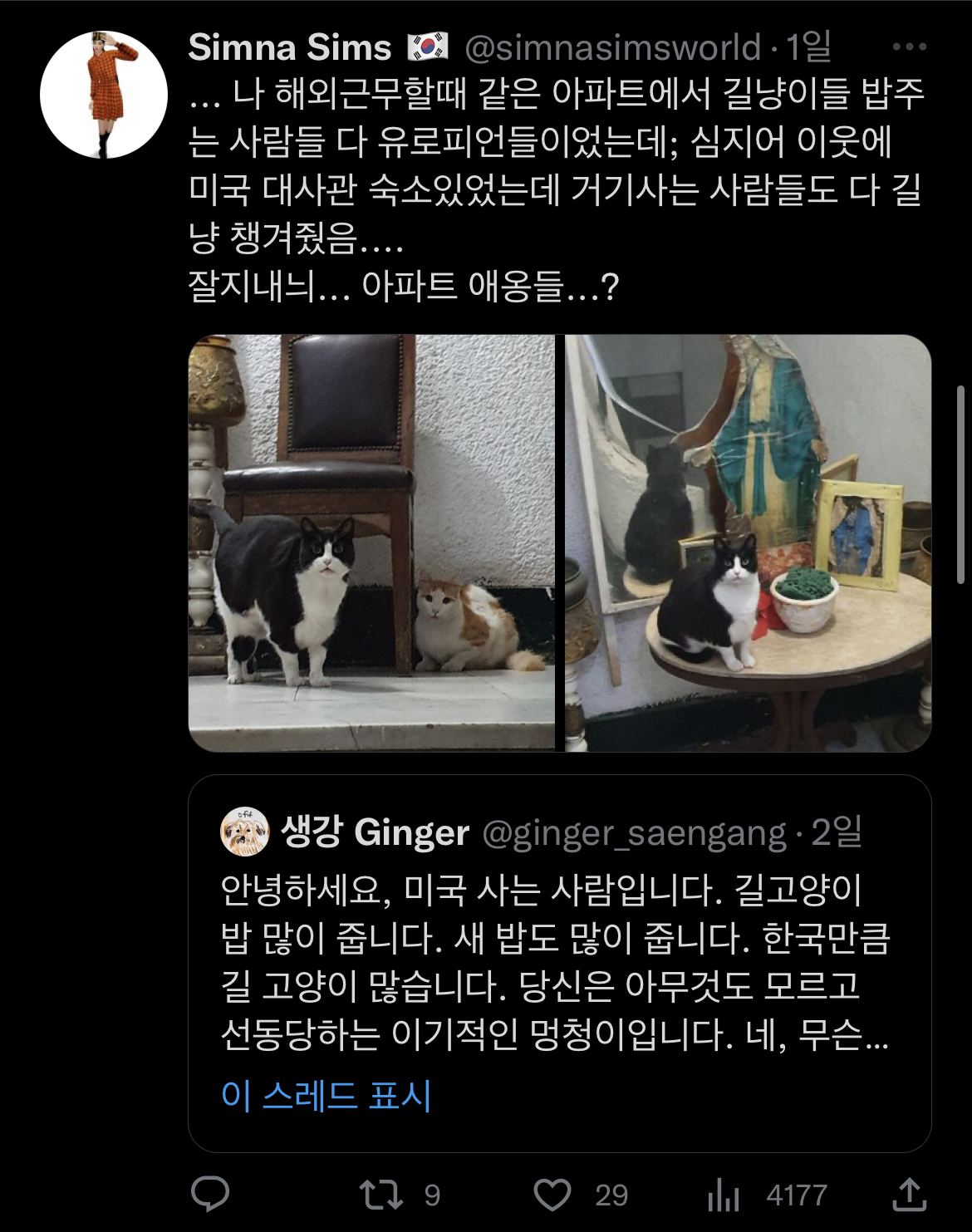 트위터에서 외국 사는데 길고양이 밥 준다는 인용이 쏟아진 이유 | 인스티즈