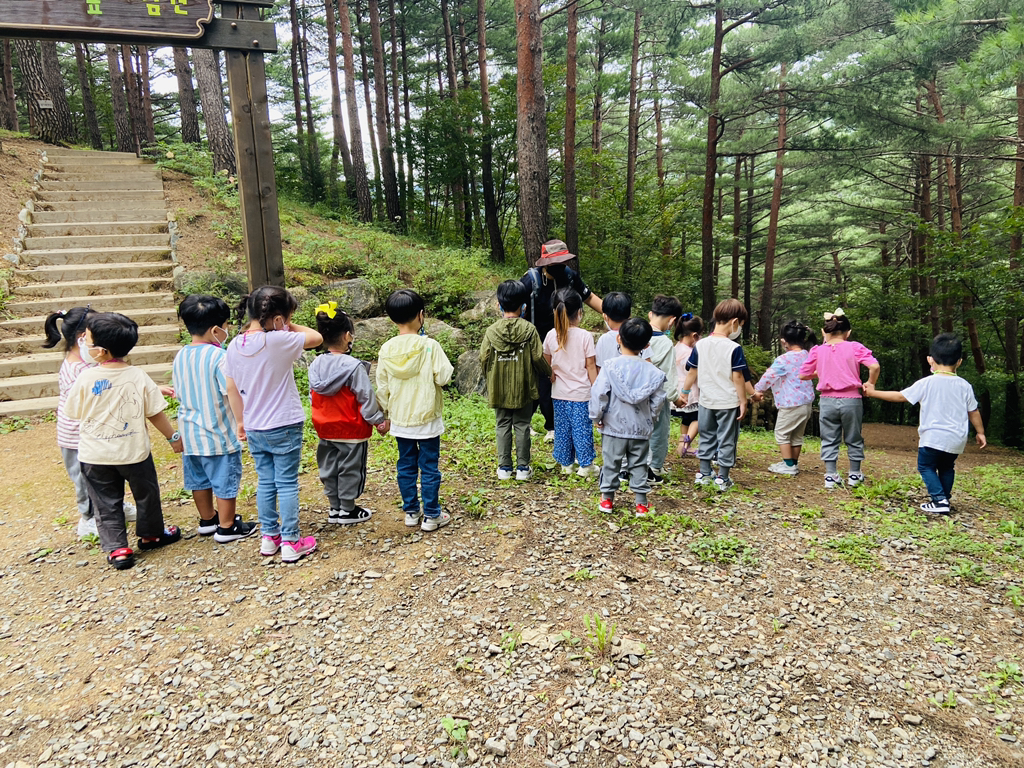 삼척동자 유아숲체험원 이미지