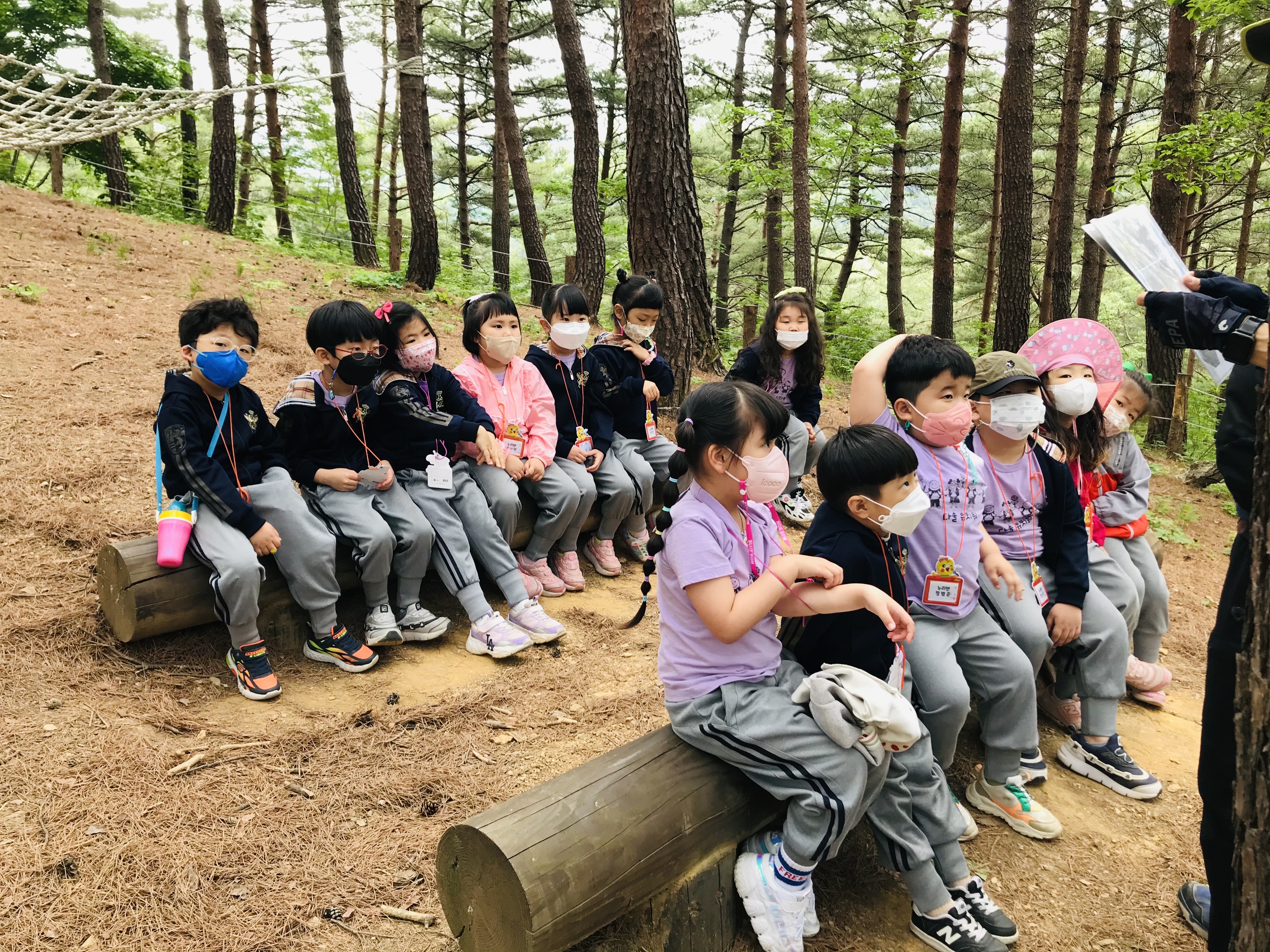 삼척동자 유아숲체험원 이미지