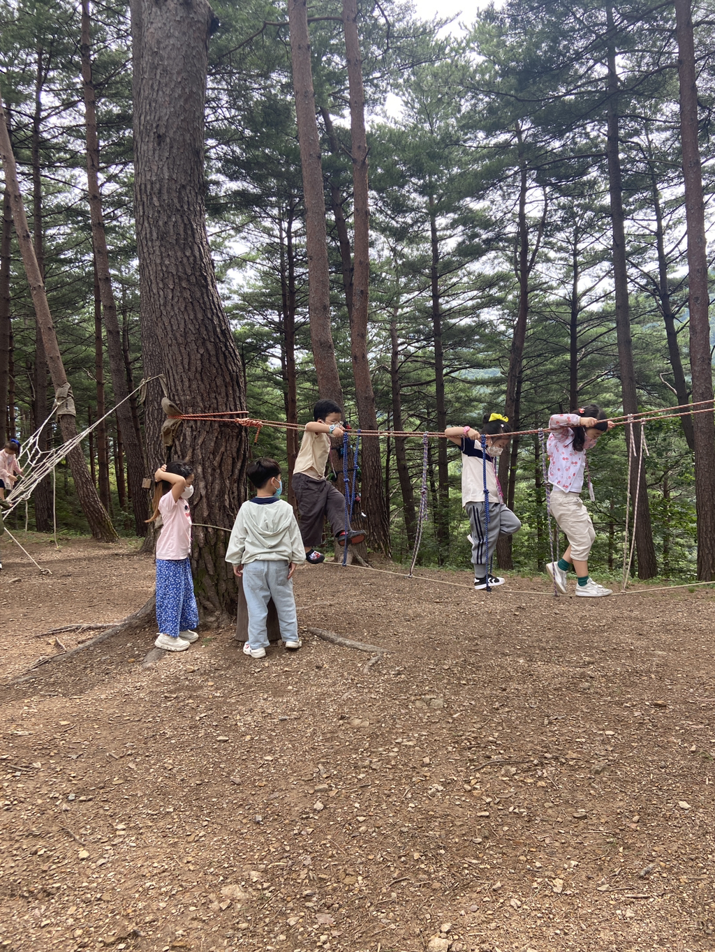 삼척동자 유아숲체험원 이미지