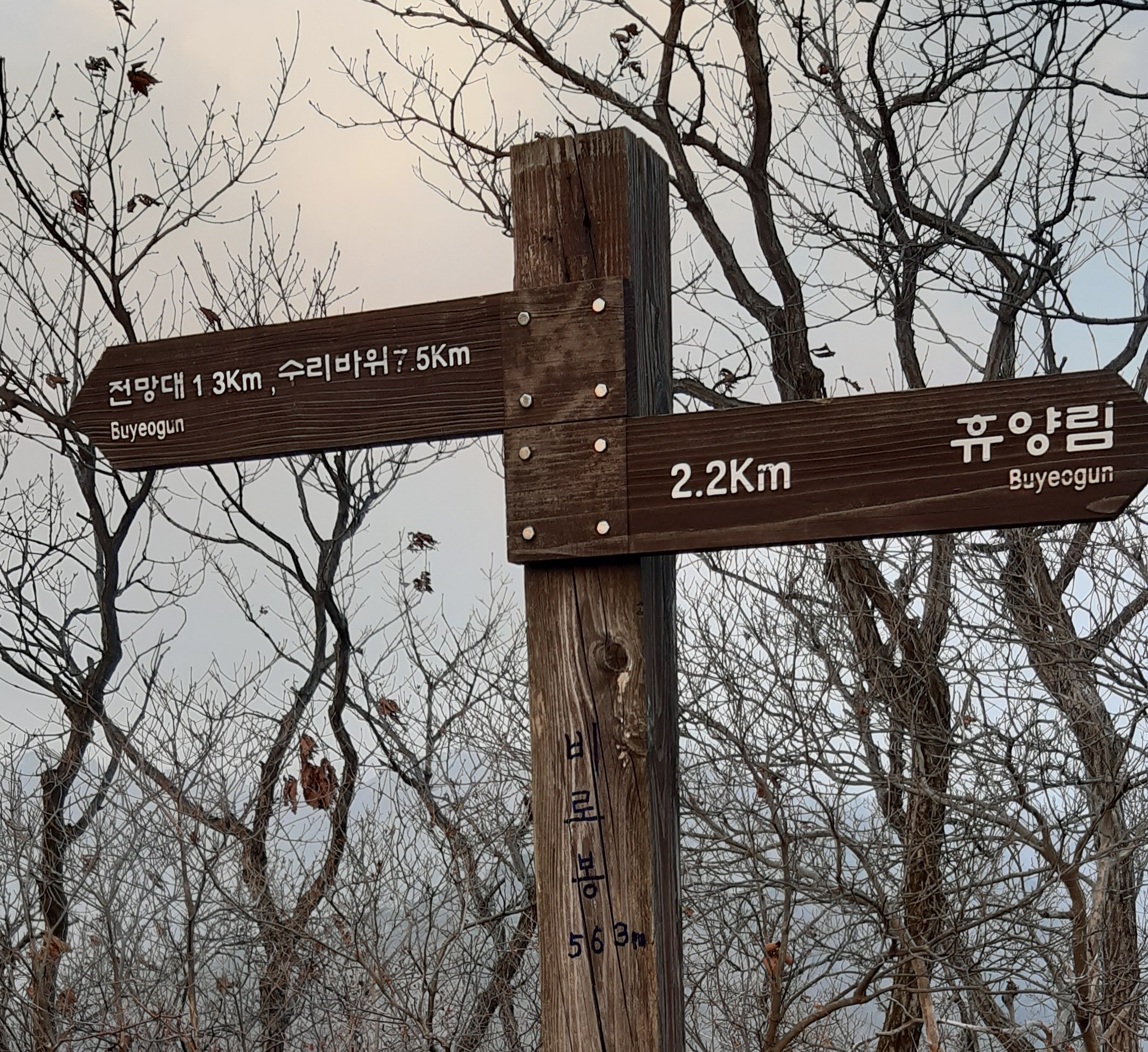 조*봉 이미지