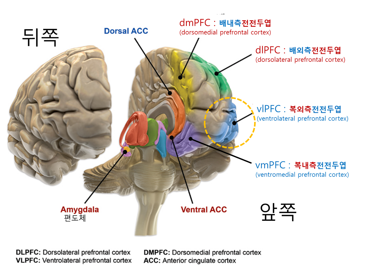 룰루스 이미지