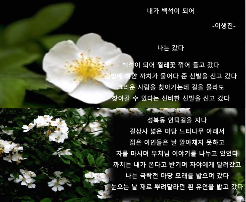 문화극장 이미지