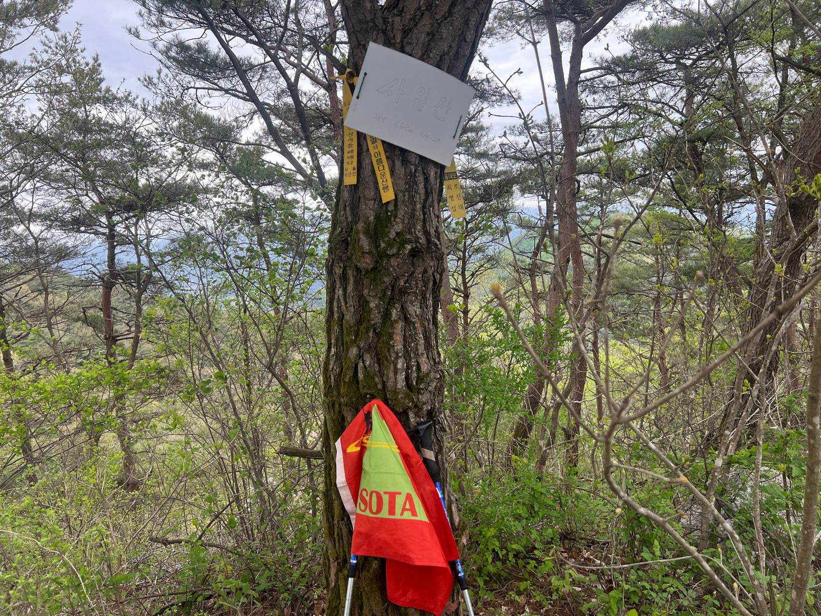 사일산 이미지