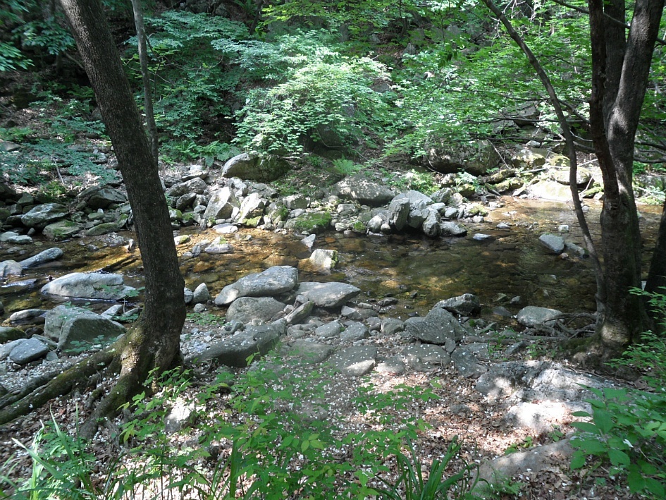 어비산 정상(829m) 이미지