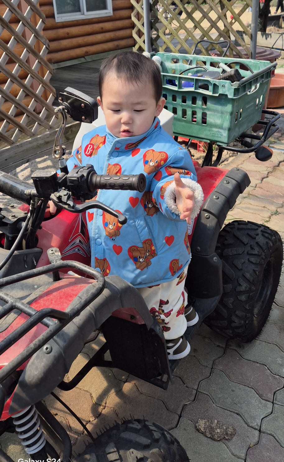 킹콩이농장 이미지