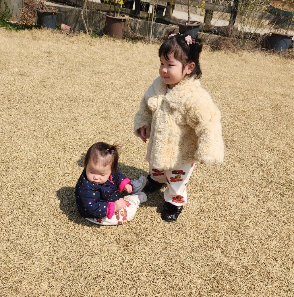 킹콩이농장 이미지