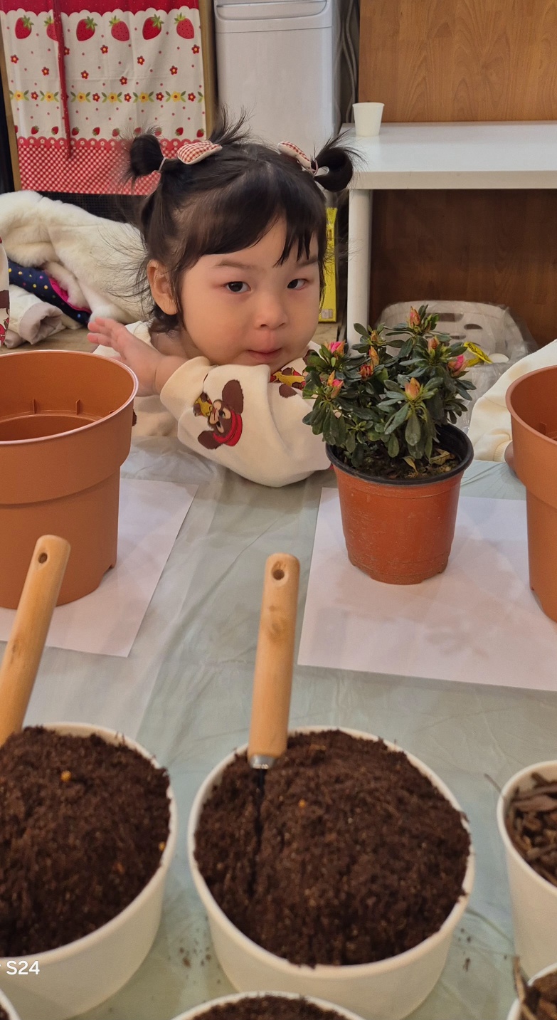 킹콩이농장 이미지