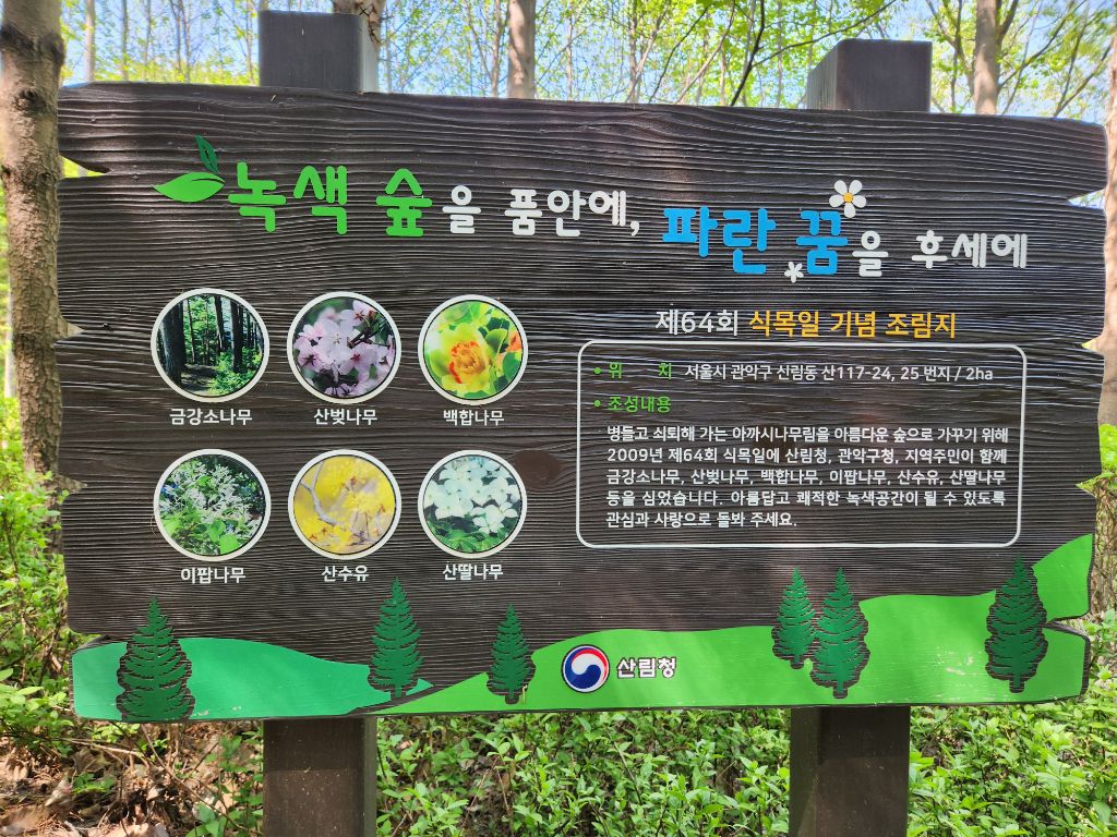 해솔 예술 어린이집 이미지