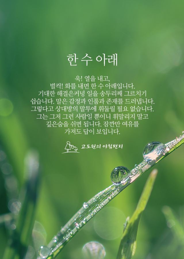 수아래 이미지