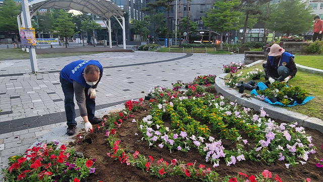 곽순덕 이미지