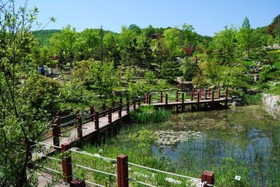 숲 이미지