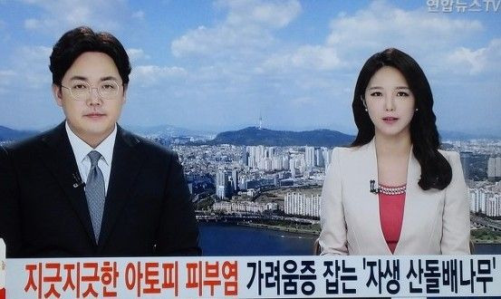 (주)다손 이미지