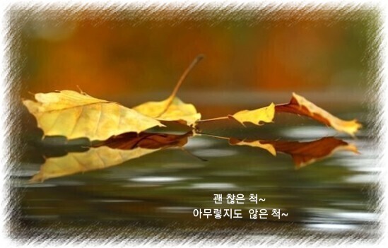 미송식품 이미지