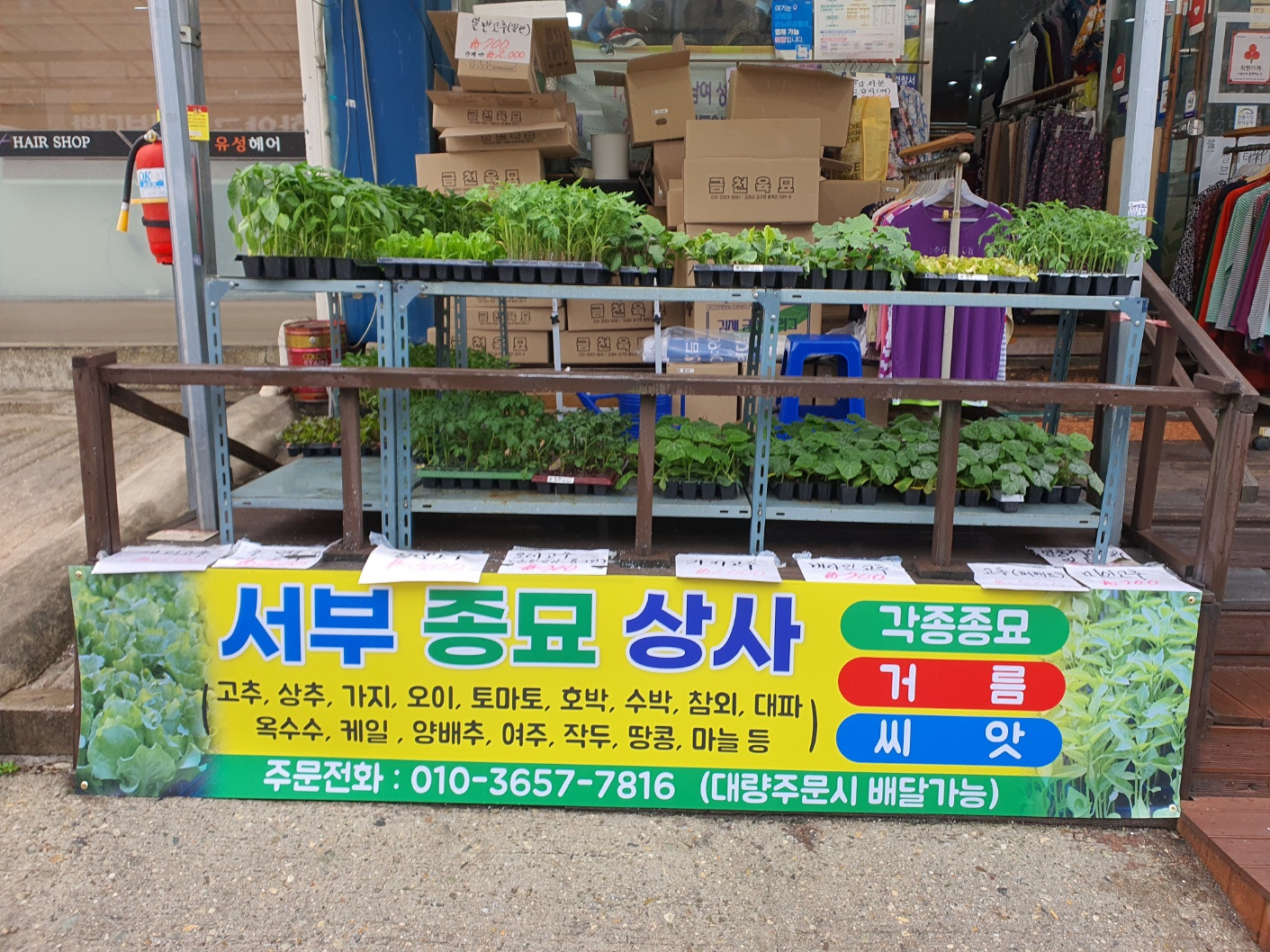 서부상사 이미지