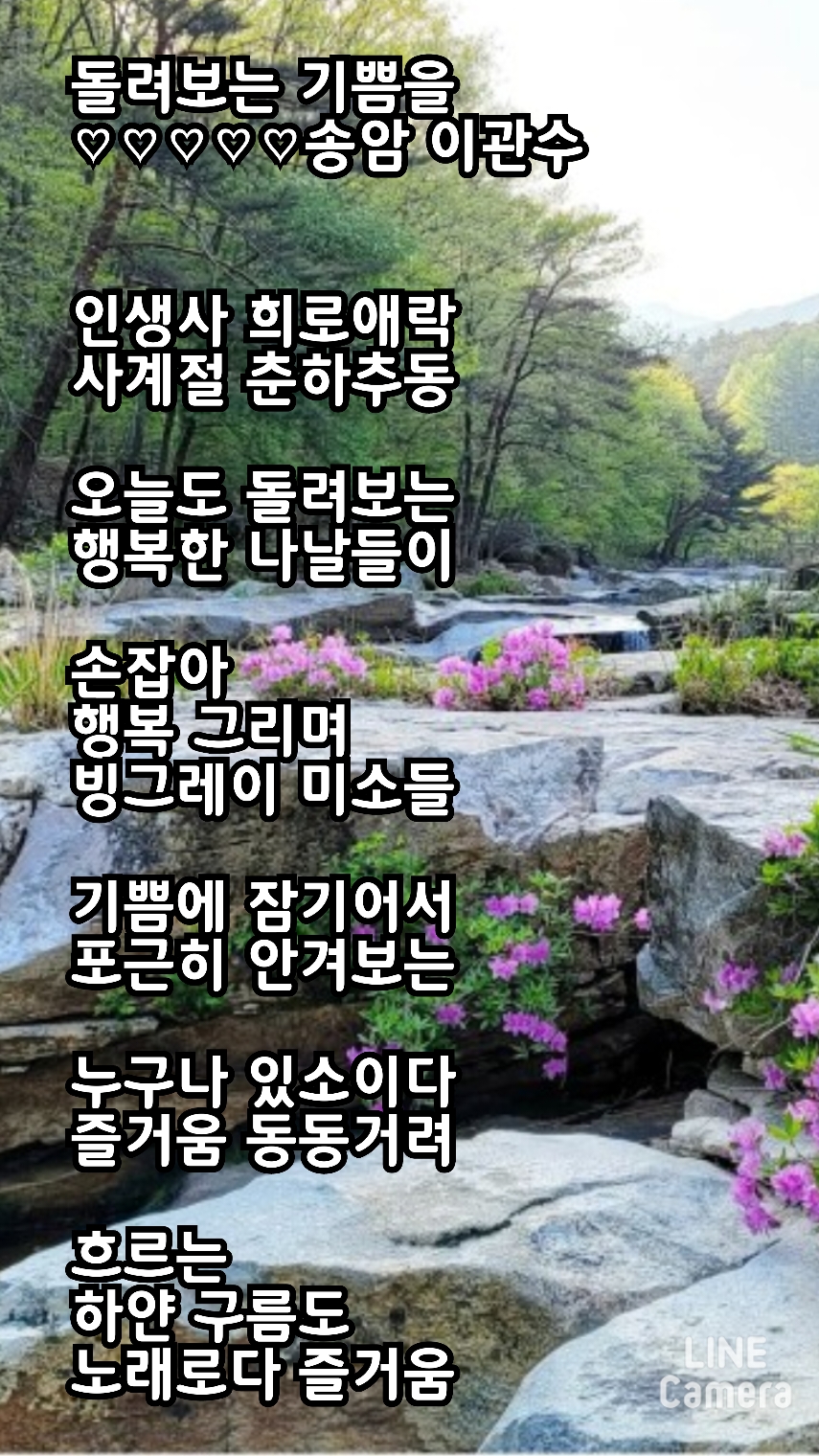 하얀기쁨 이미지